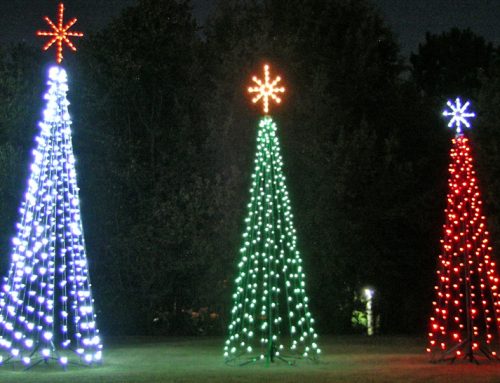 Commercial Christmas Trees